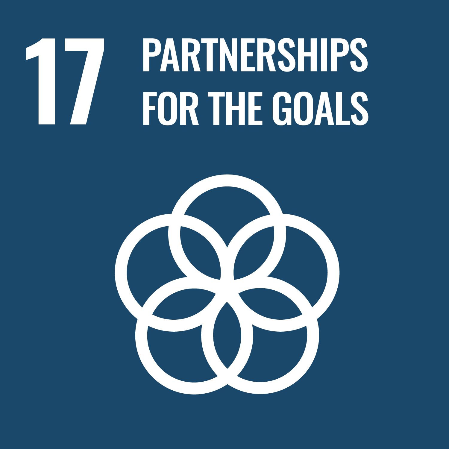 SDG 17: Partnerships for the goals.